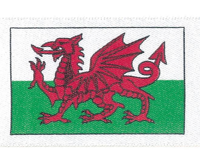 13666-25 - BERISFORD WELSH DRAGON FLAG 25mm