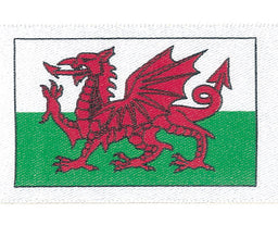 13666-35 - BERISFORD WELSH DRAGON FLAG 35mm