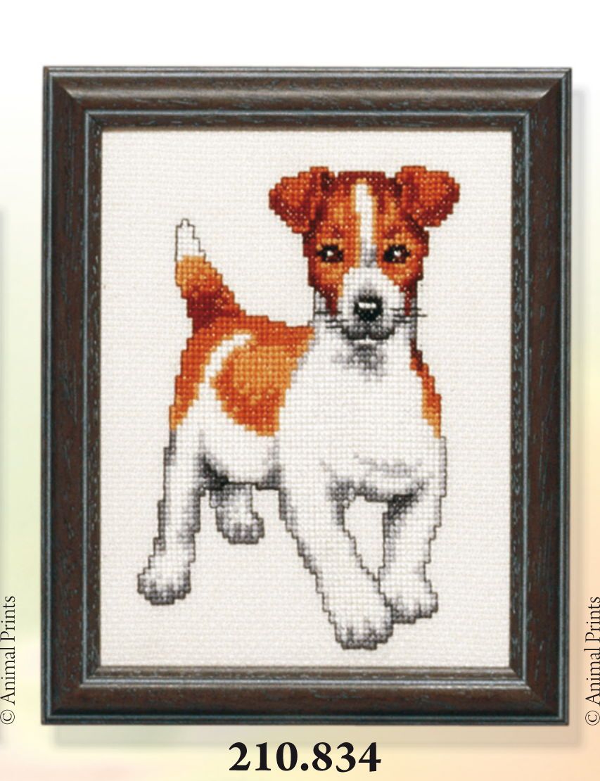 210834 - PAKO 13X17cm JACK RUSSELL COUNTED CROSS STITCH KIT