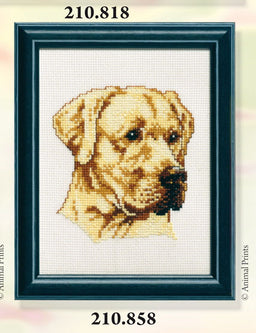 210858 - PAKO 13X17cm GOLDEN LABRADOR COUNTED CROSS STITCH KIT
