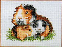 210869 - PAKO 13X17cm GUINEA PIG COUNTED CROSS STITCH KIT