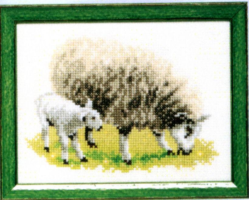 210899 - PAKO 13X17cm SHEEP & LAMB COUNTED CROSS STITCH KIT