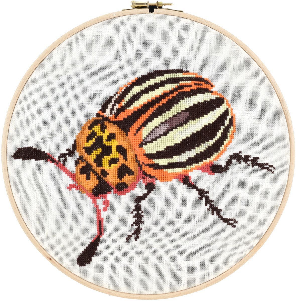 212350 - PAKO 25cm BEETLE COUNTED CROSS STITCH KIT