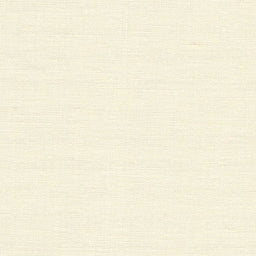 3529-222 - LINEN BRISTOL 46CT 150CM 222 CREAM