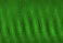 40019-3-455 - BERI ROUD ELASTIC 2-3mm HUNTER GREEN