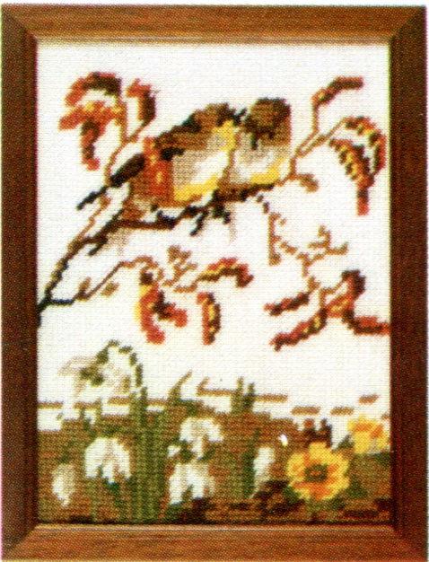 61322 - **PAKO CANVAS ONLY FEBRUARY