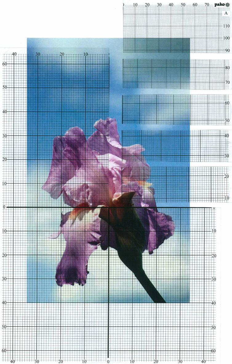 707090 - PAKO SET OF 6 DIFFERENT TRANSPARENT PLASTIC GRIDS