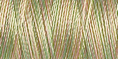 709700-2202  GUTERMANN SULKY RAYON 40 (DEKOR) 200M 2202 GREEN MIXED