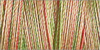 709743-4026 - GUTERMANN SULKY COTTON 30 300m 4026 BEIGE/GREEN MIX