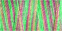 709743-4041 - GUTERMANN SULKY COTTON 30 300m 4041 GREEN/PINK MIX