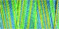 709743-4120 - GUTERMANN SULKY COTTON 30 300m 4120 GREEN/BLUE MIX
