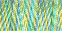 709743-4125 - GUTERMANN SULKY COTTON 30 300m 4125 AQUA MIX