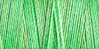 709751-4015 - GUTERMANN SULKY COTTON 12 200m 4015 LIGHT GREEN MIX