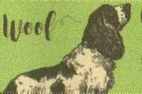 80029-25-1 - BERISFORD DOGS 25mm COL 1 GREEN 20M
