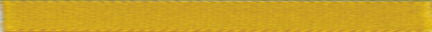 8692-678 - BERISFORD 2mm TWIST ROPE 678 GOLD