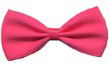 BT175 - RIBBON BOWTIE 175 SHOCKING PINK