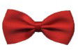 BT250 - RIBBON BOWTIE 250 RED