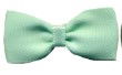 BT513 - --RIBBON BOWTIE 513 PASTEL GREEN