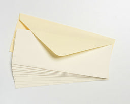 CARD38I - **CARD BLANKS 3 inch X 8 inch IVORY WITH ENVELOPES