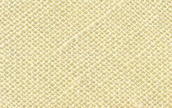 CB25-304 - COTTON BIAS BINDING 25mm CREAM x 33m ROLL