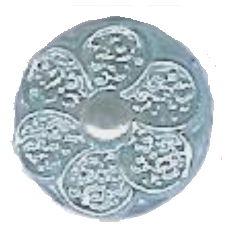 CN53-20-22 - PANSY SIZE 20 COL 22 LT BLUE