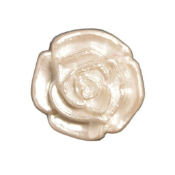 CN57-24 - WHITE/GOLD ROSE SIZE 24