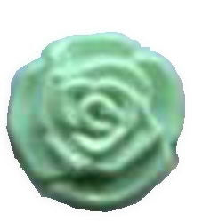 CN72-36 - BUTTONS- SMALL ROSEBUD SHANK COL 36 MINT  20L