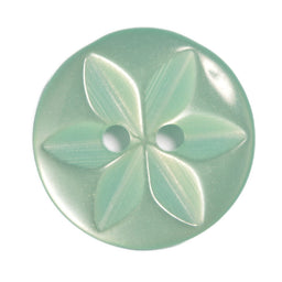 CP86-22-33 - 2H STAR SIZE 22  COL 33  AQUA