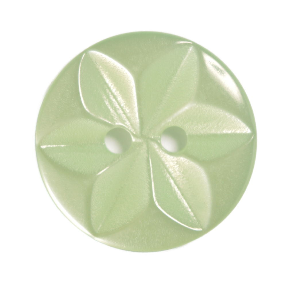 CP86-22-36 - 2H STAR SIZE 22  COL 36 MINT