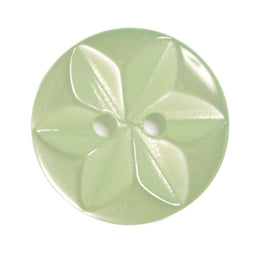 CP86-22-36 - 2H STAR SIZE 22  COL 36 MINT