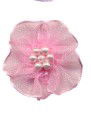 DFR117 - --DOUBLE FAIRY ROSE 117 PINK