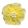 DFR617 - --DOUBLE FAIRY ROSE 617 BABY MAIZE