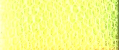 DN-FL NYLON DRESS NET FLUO LEMON 150cm (Flare Free)