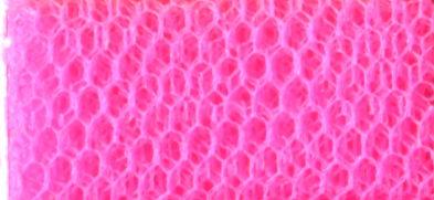 DN-FR NYLON DRESS NET FLUO ROSE 150cm (Flare Free)