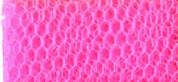 DN-FR NYLON DRESS NET FLUO ROSE 150cm (Flare Free)