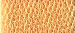 DN-GD NYLON DRESS NET GOLD 150cm (Flare Free)