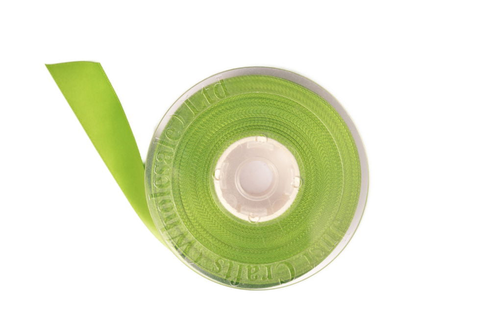 DS10-548 - DOUBLE SATIN RIBBON 10mm 548 KIWI