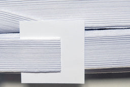 E46332W - CARDED ELASTIC 32 CORD (25mm) WHITE premium