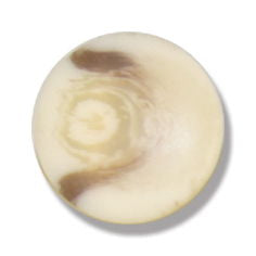 G2327-24 - ARAN SHANK BUTTONS SIZE 24 (50)