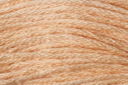 GE0292 - TRIMITS STRANDED COTTON 8m Col 292 DK BEIGE