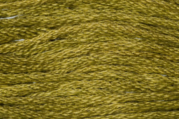 GE0624 - TRIMITS STRANDED COTTON 8m 624 MOSS