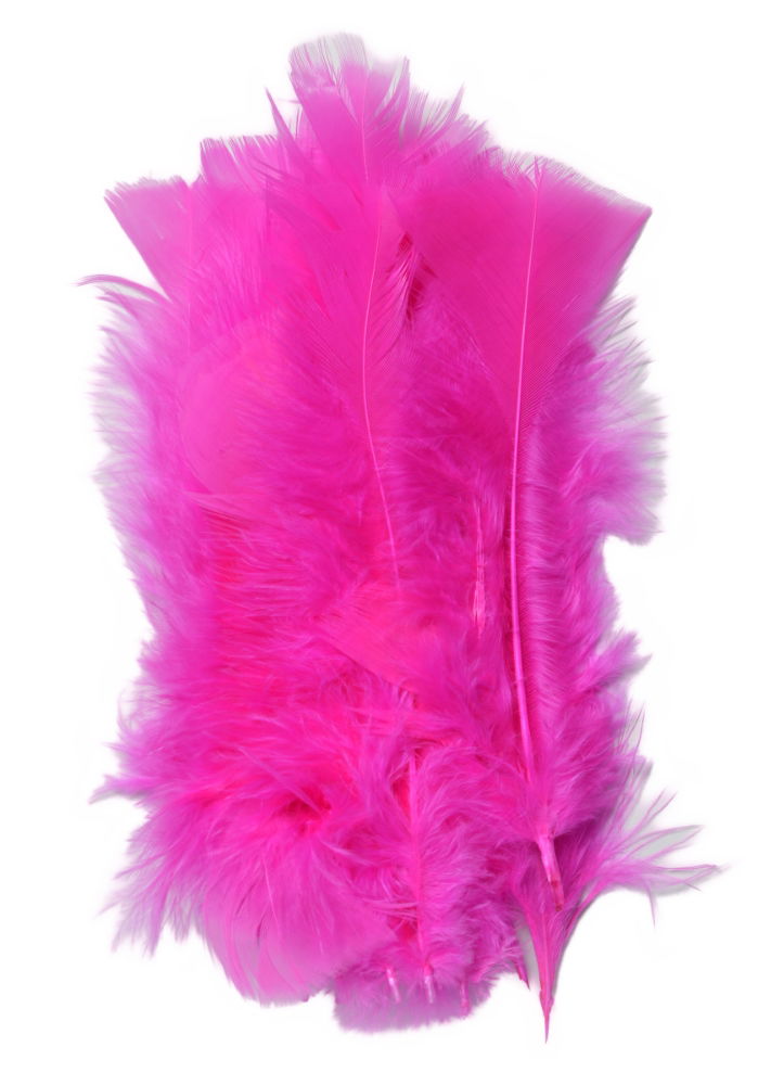 LBFCE - LESUR INDIAN FEATHERS - CERISE