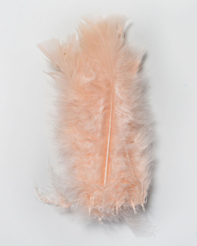 LBFPE - LESUR INDIAN FEATHERS - PEACH