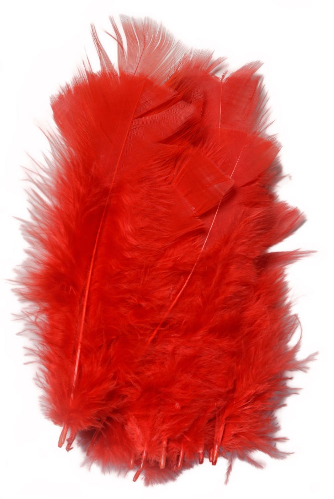 LBFR - LESUR INDIAN FEATHERS - RED