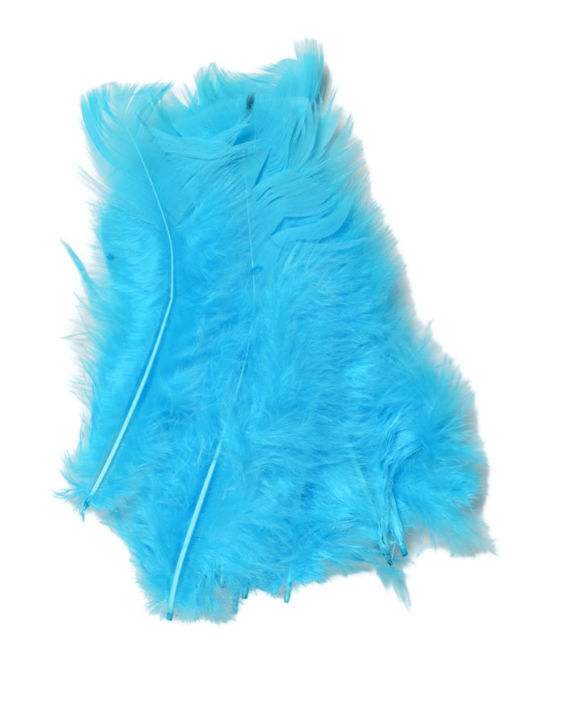 LBFT - LESUR INDIAN FEATHERS - LIGHT TURQUOISE