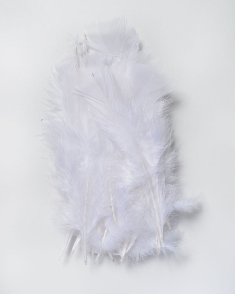 LBFW - LESUR INDIAN FEATHERS - WHITE