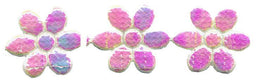 PADC-DPL - PADDED TRIM DAISY PEARL