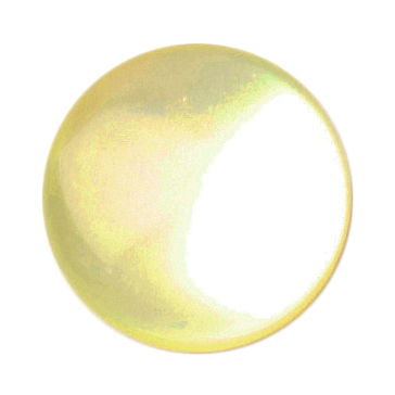 S1620 - SEHLBACH A BUTTON PLAIN LG YELLOW X40