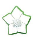 SFR029 - --STAR FLOWER & ROSE 029 WHITE