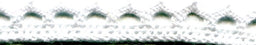 SL01-10-WHT - SUPER RIBBON COTTON  LACE 10mm WHITE